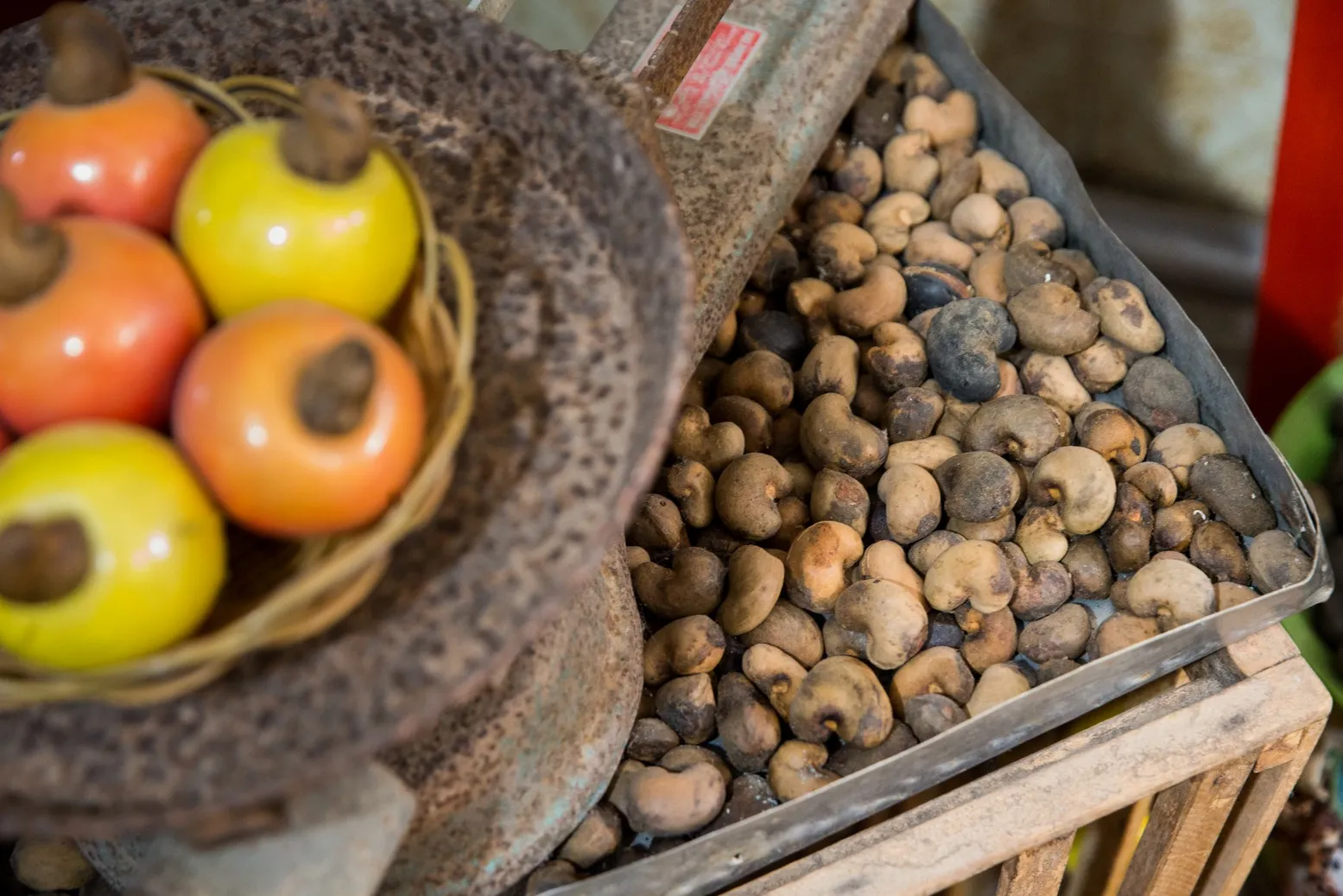 Ceará foi o estado do Brasil que mais produziu castanha-de-caju em 2023, aponta IBGE