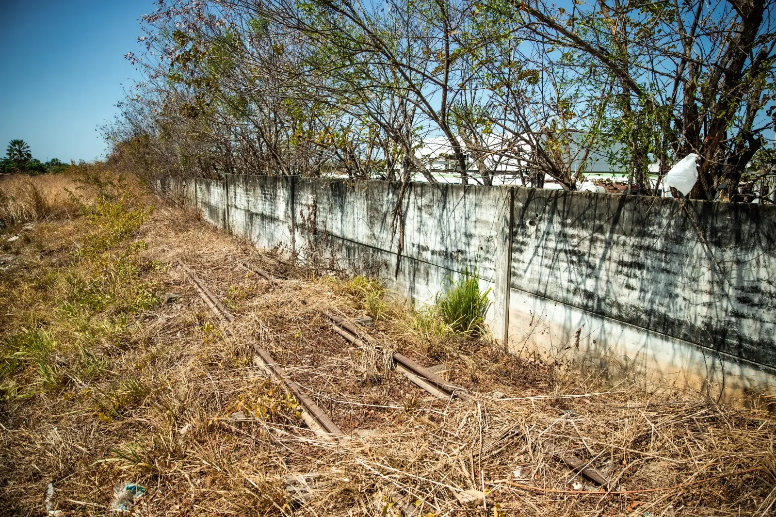 Trilhos abandonados da FTL ao lado do centro de manutenção do Metrofor na Vila das Flores