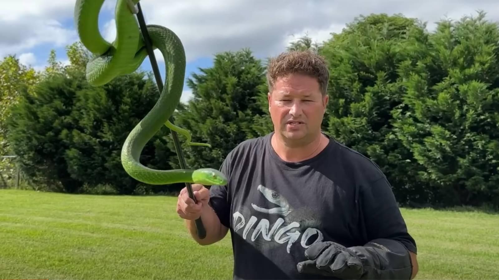 Dingo Dinkelman segurando uma cobra mamba-verde. Dingo Dinkelman, youtuber especializado em cobras, morre após ser picado por serpente mamba-verde