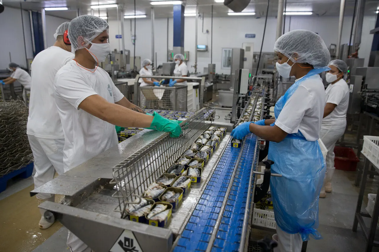 Indústria do Ceará tem o segundo melhor resultado de 2024