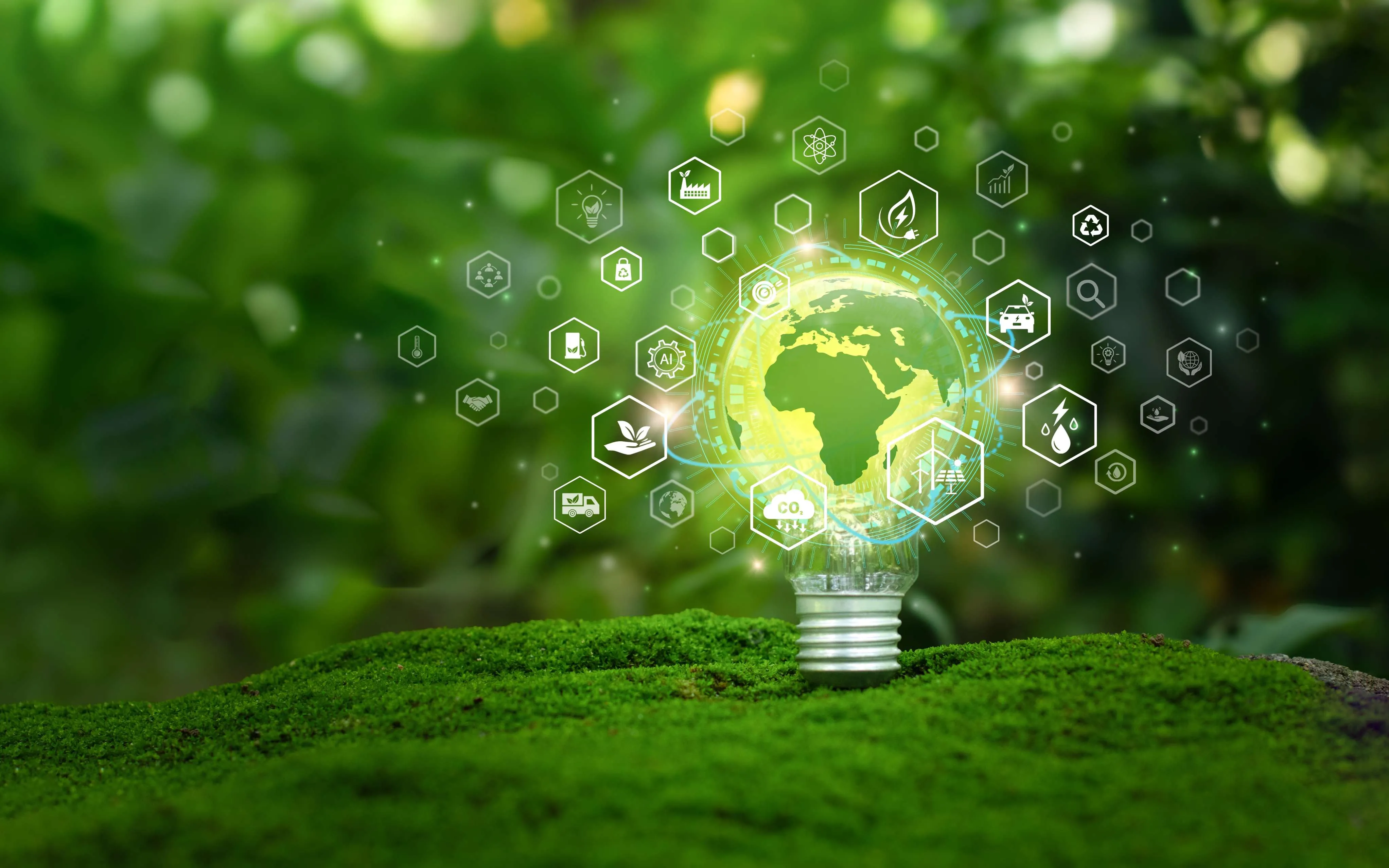 A cidade sustentável está relacionada com uma economia sustentável