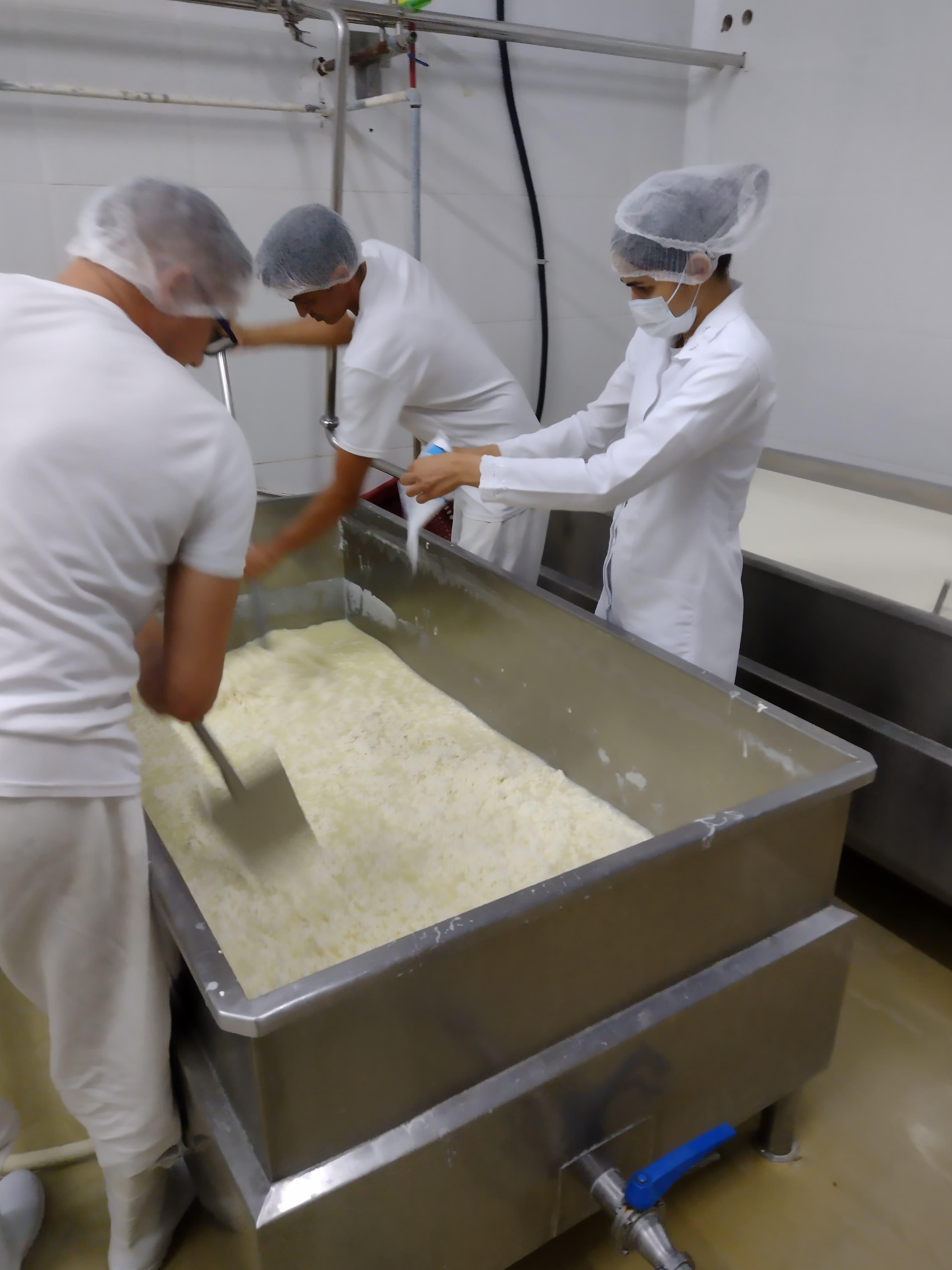 Produção do queijo gigante durou cerca de 30 horas