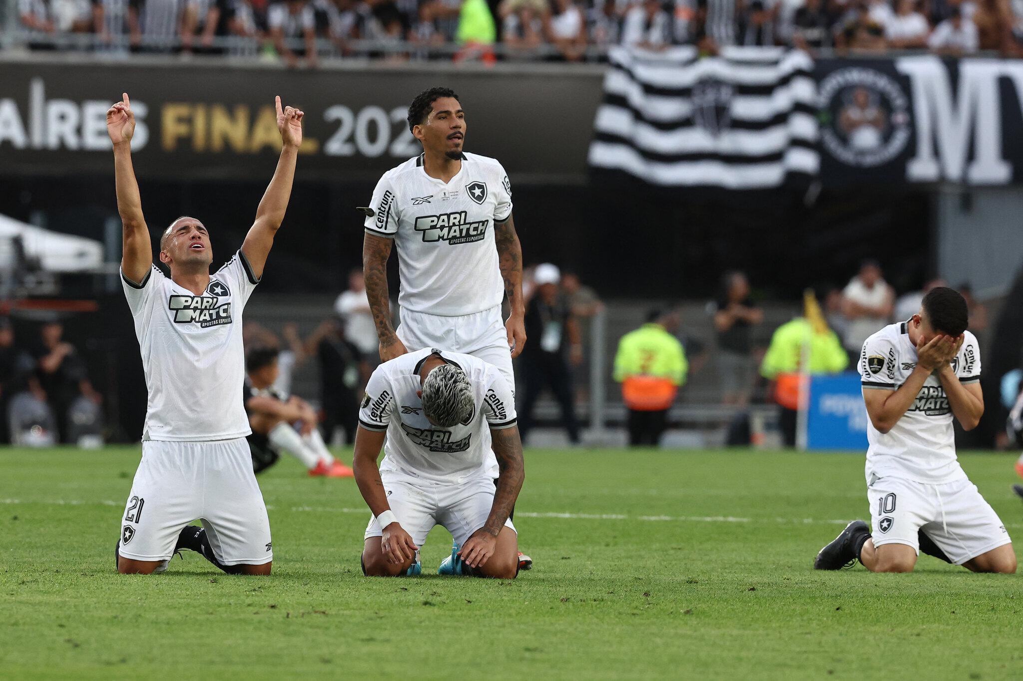 Jogadores do Botafogo comemoram vitória da Libertadores