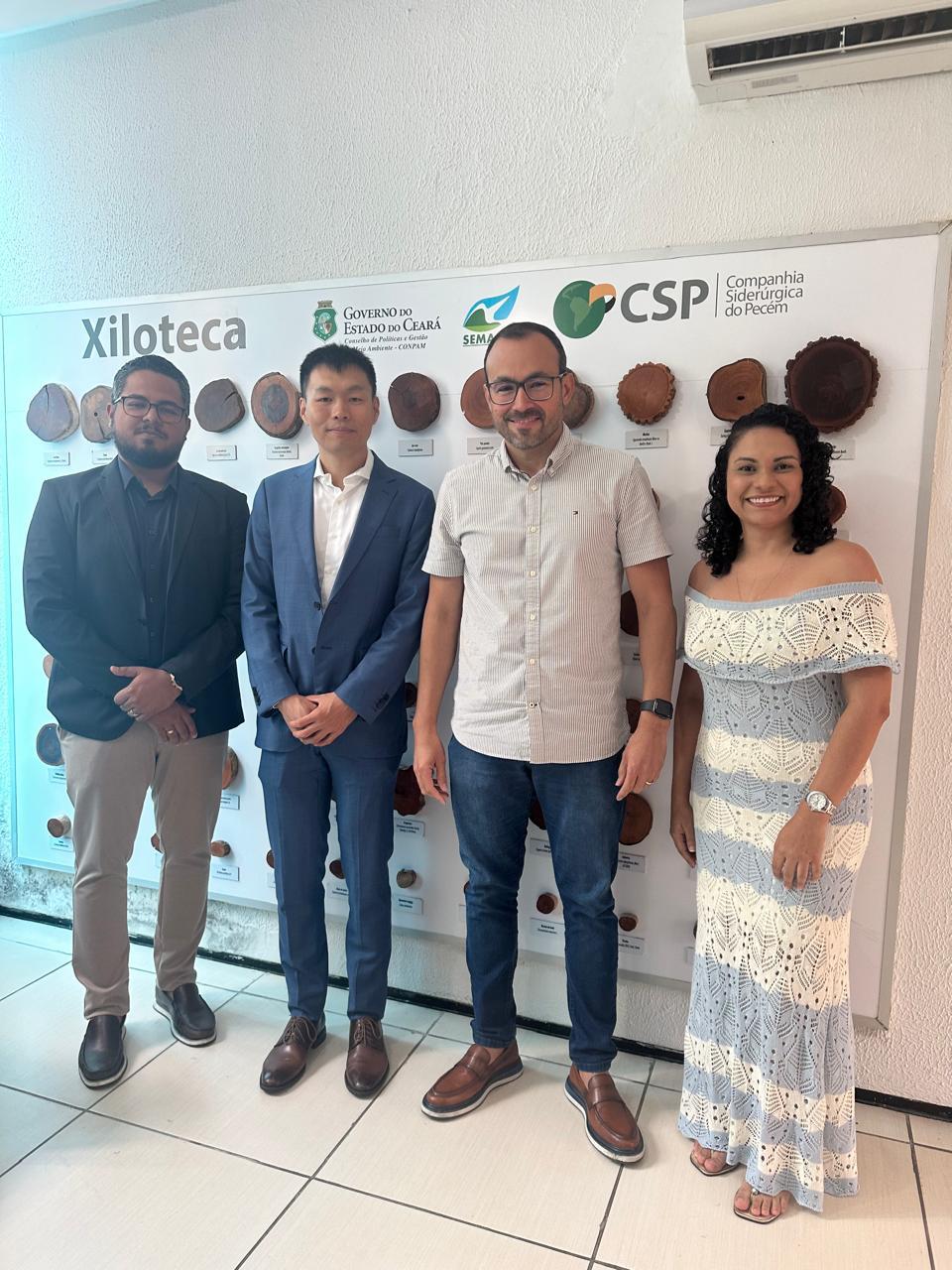 PowerChina Complexo Solar