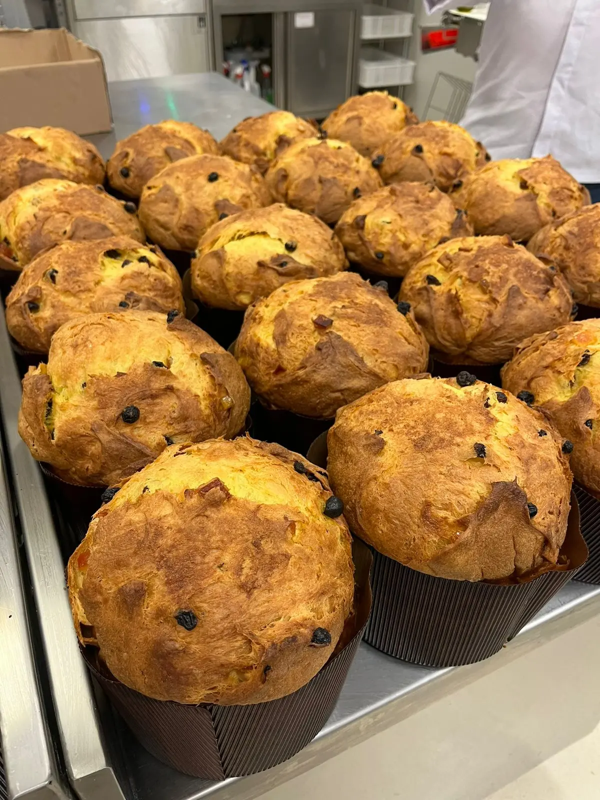 a imagem mostra vários panetones artesanais de laranja da Cheiro do Pão para Natal em Fortaleza