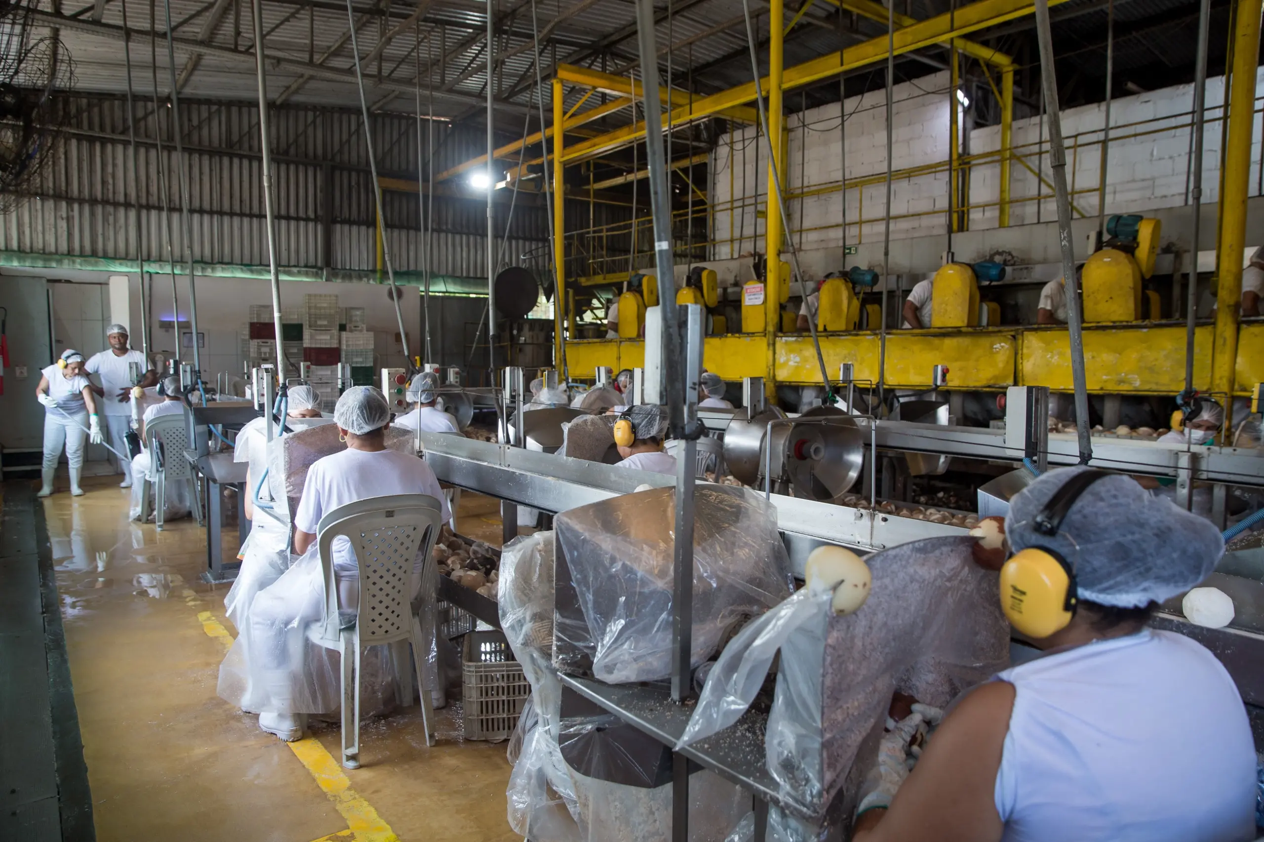 Fábrica da Dikoko em Paraipaba