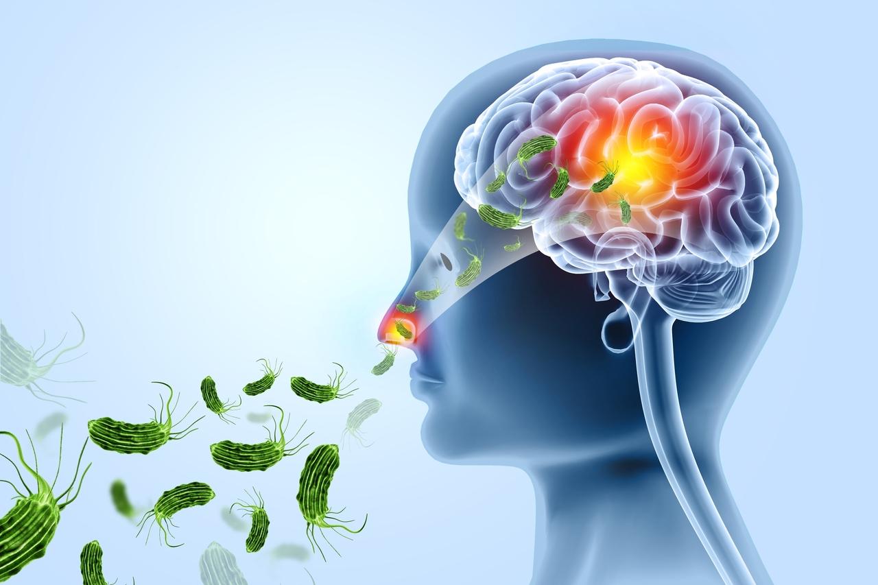 Ceará investiga infecção e óbito causado por ameba rara em criança de 1 ano em Caucaia