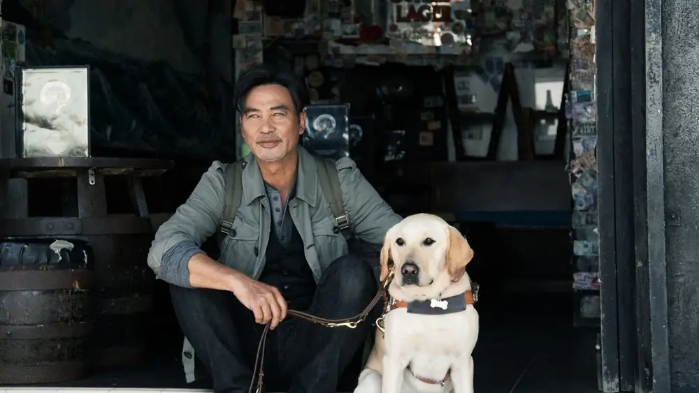 Sessão da Tarde hoje: veja qual filme a TV Globo exibe nesta terça-feira (10)