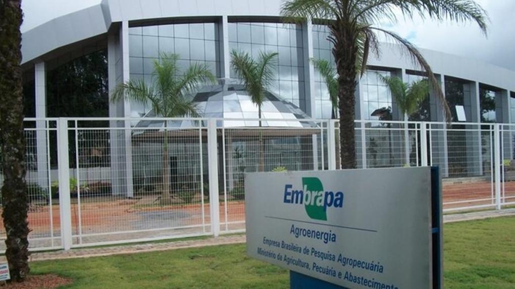 Inscrições para concurso da Embrapa começam nesta segunda (16); saiba como participar