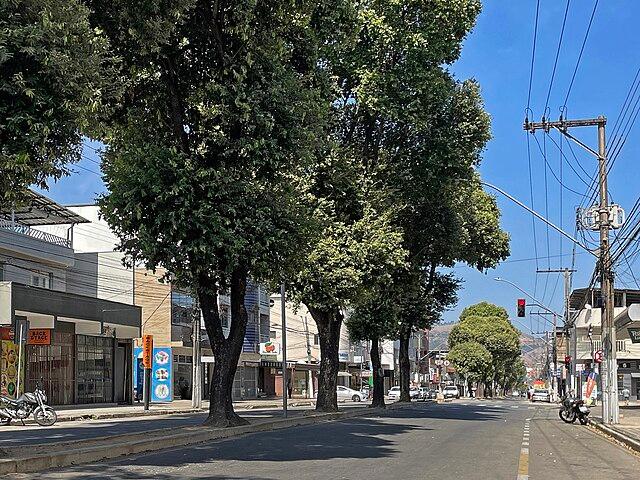 Oitis na Avenida Magalhães Pinto, Coronel Fabriciano