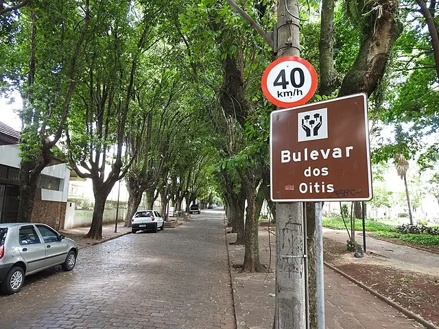Uma avenida cheia de oitis