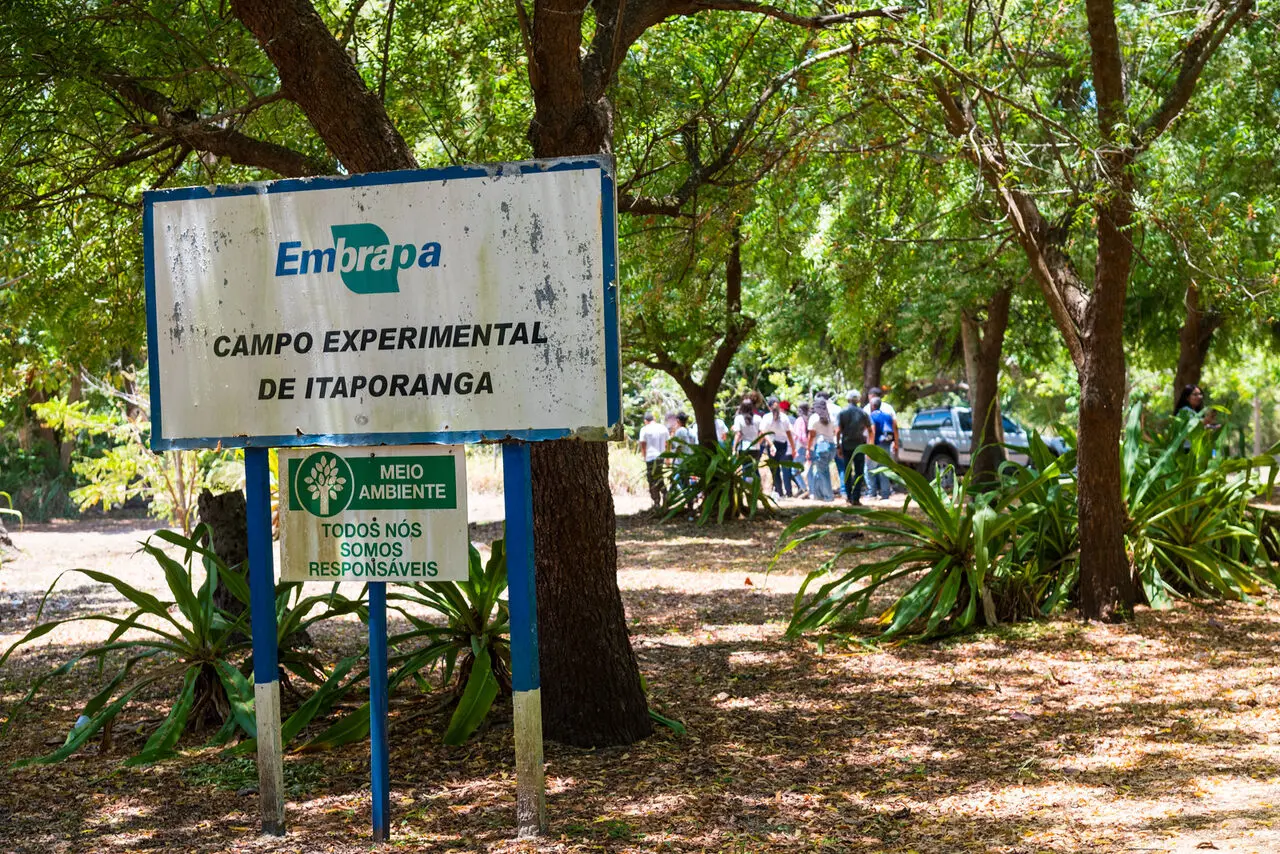 Fachada embrapa. Período de inscrições para concurso da Emprapa é prorrogado; saiba nova data e como participar