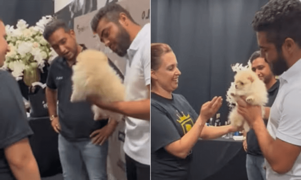 Animal foi dado por fã para sertanejo