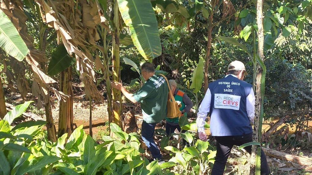 Agentes de saúde buscam mosquito maruim no Ceará