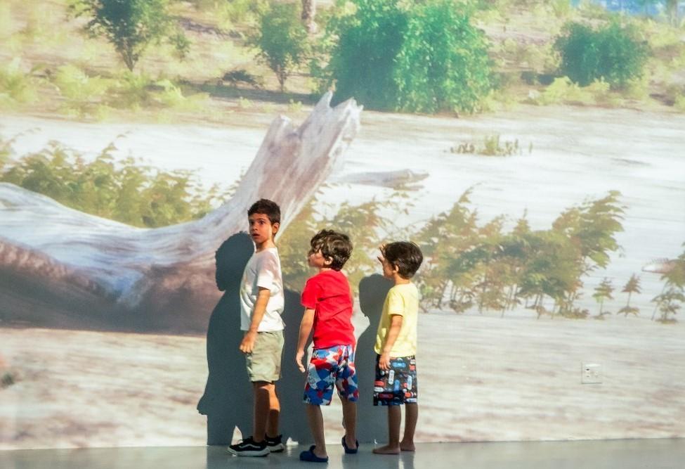 Durante a apresentação, é possível transitar pela sala e interagir com as imagens