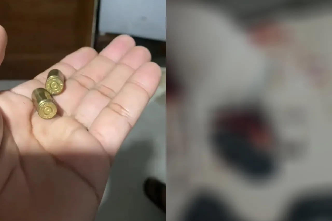 O Pitbull morreu em decorrência de quatro disparos de arma de fogo, segundo laudo de médica veterinária