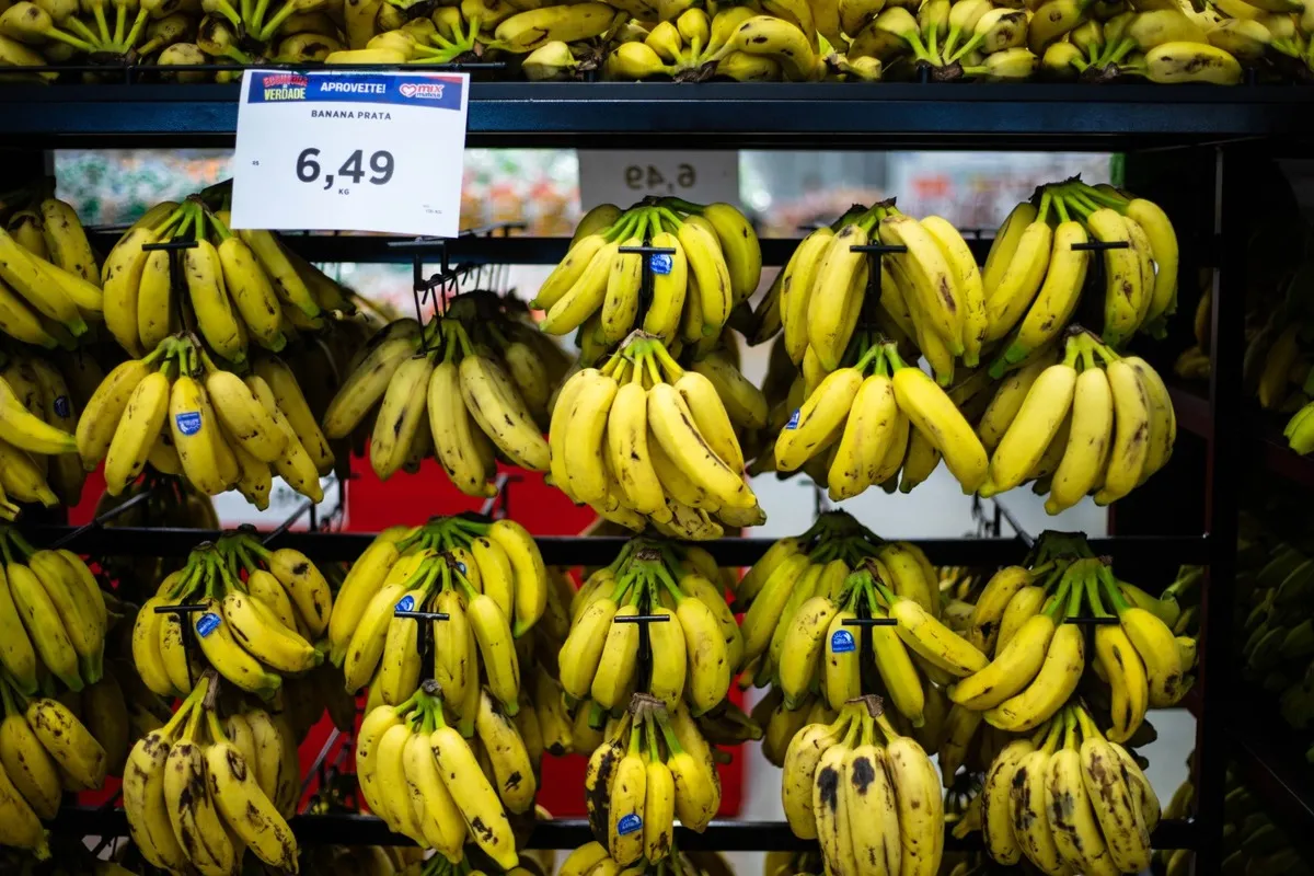 Estudo identificou uma estreita relação entre distribuição de renda, pobreza e insegurança alimentar no Brasil