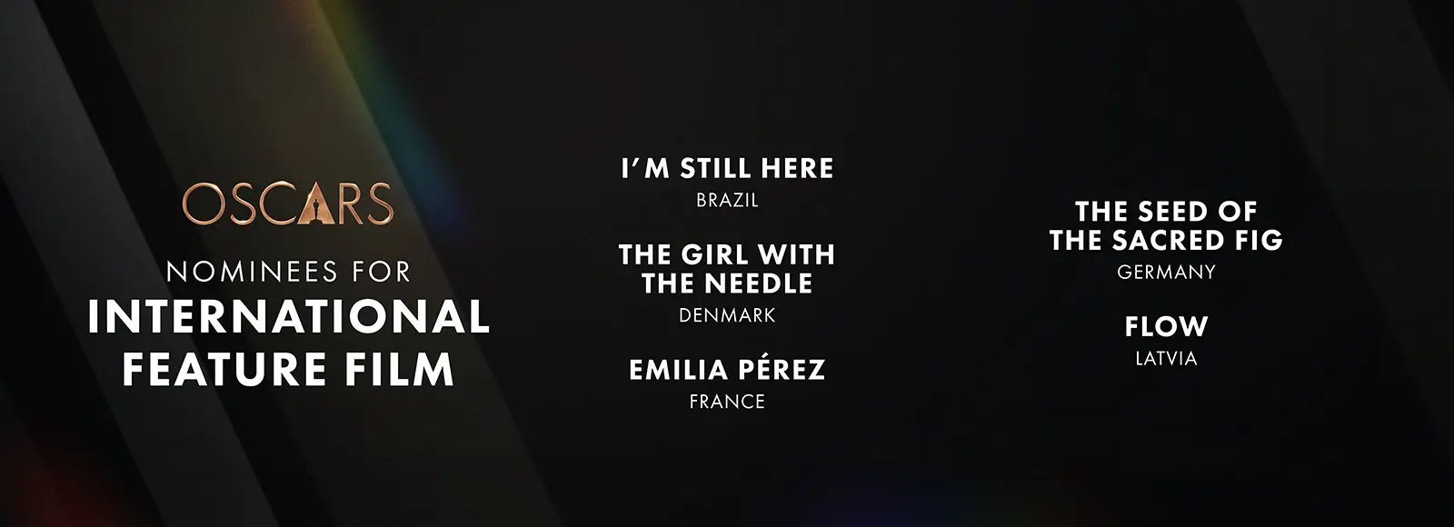 Imagem dos indicados ao Oscar de Melhor Filme Internacional com destaque para 