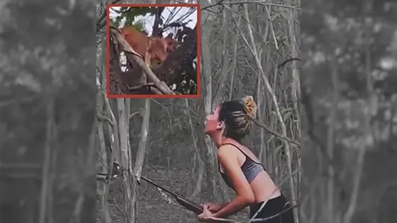 Mulher recebeu diferentes multas do Ibama