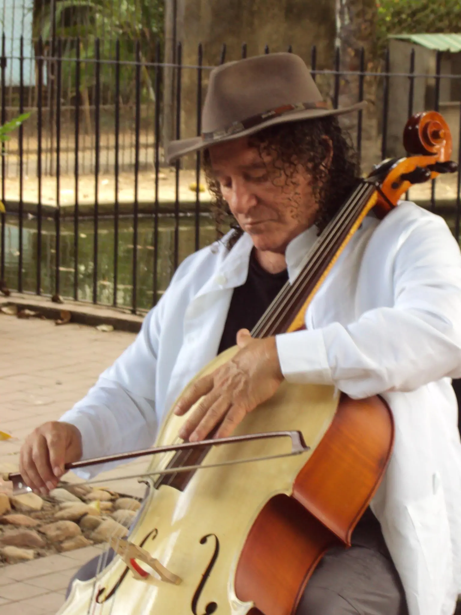Vital Farias, compositor de 'Ai, Que Saudade D'Ocê', morre aos 82 anos ...