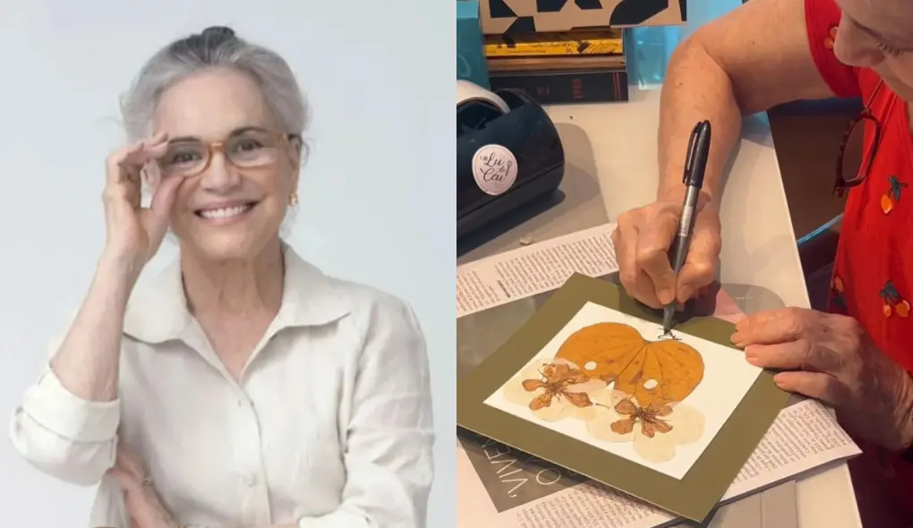 Regina desitrada folhas e flores secas para usar em quadros e cartões