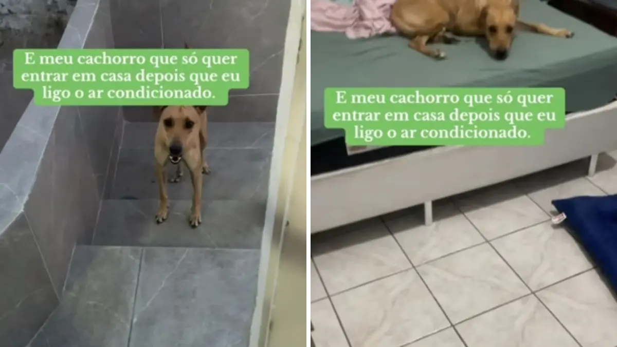 capa da noticia