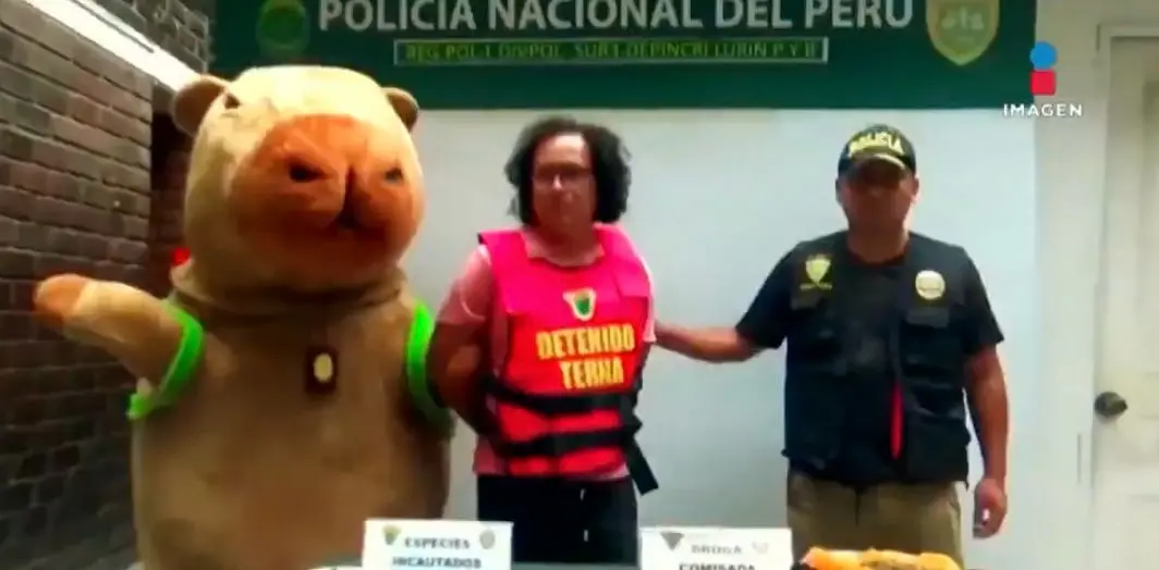Policial posa para foto com fantasia de capivara, após prender suspeito de tráfico de drogas no Peru