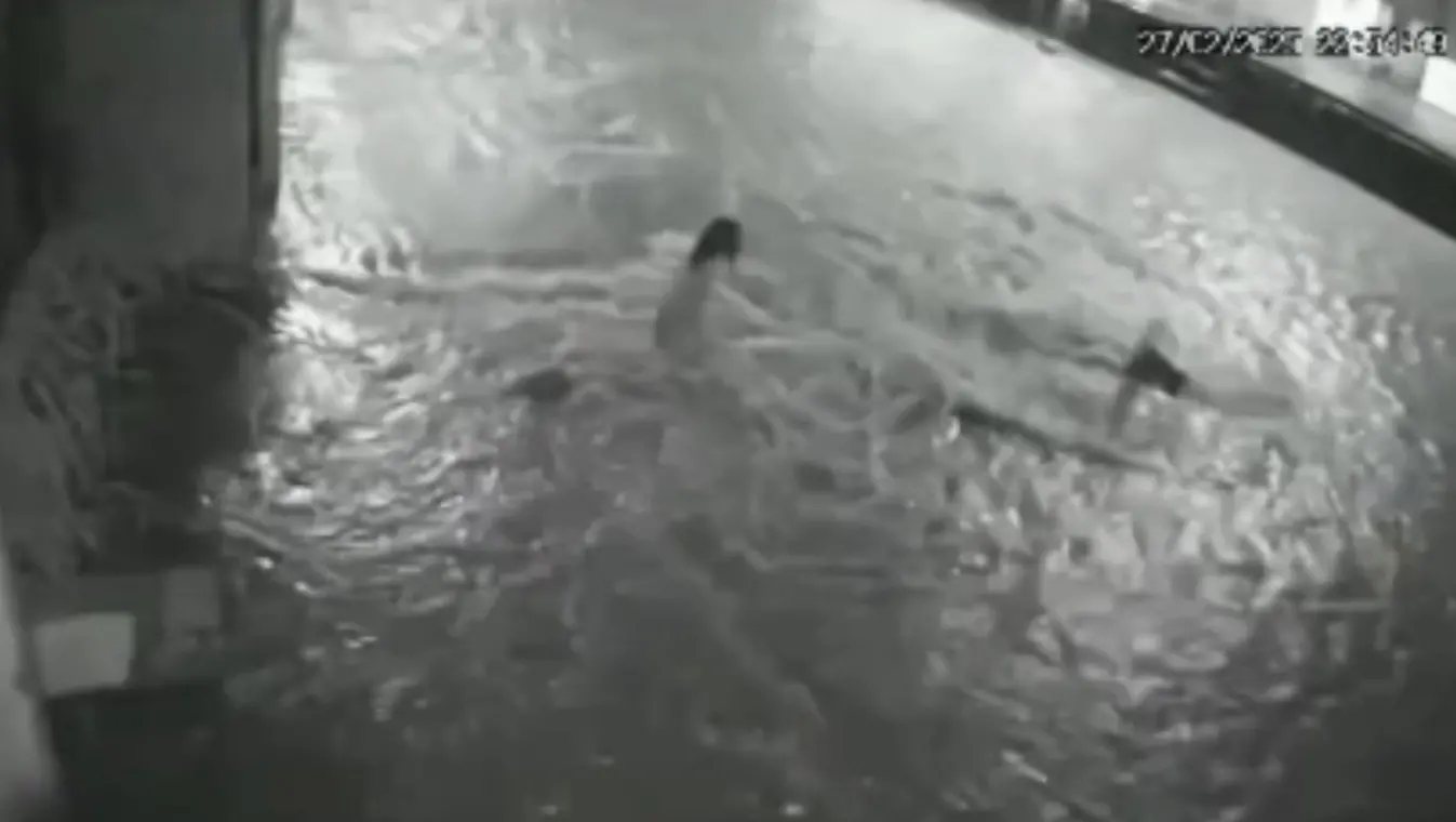 Captura de tela de vídeo onde criança cai em bueiro e é arrastado por correnteza