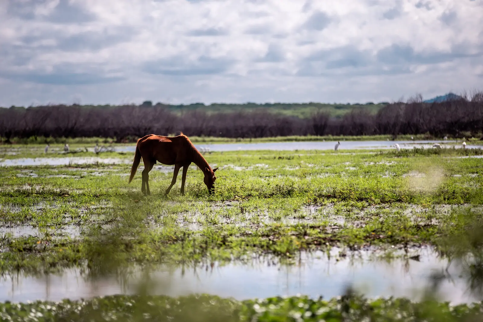 Chuvas de janeiro são responsável pela melhora dos indicadores ligados à seca