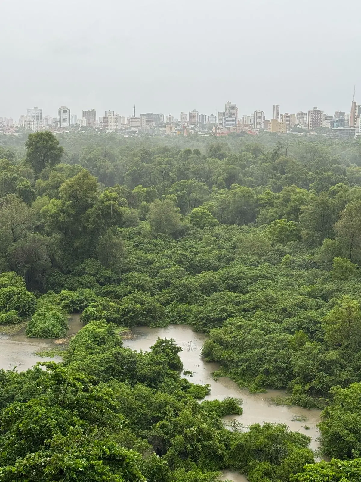 Vista do Cocó em Fortaleza