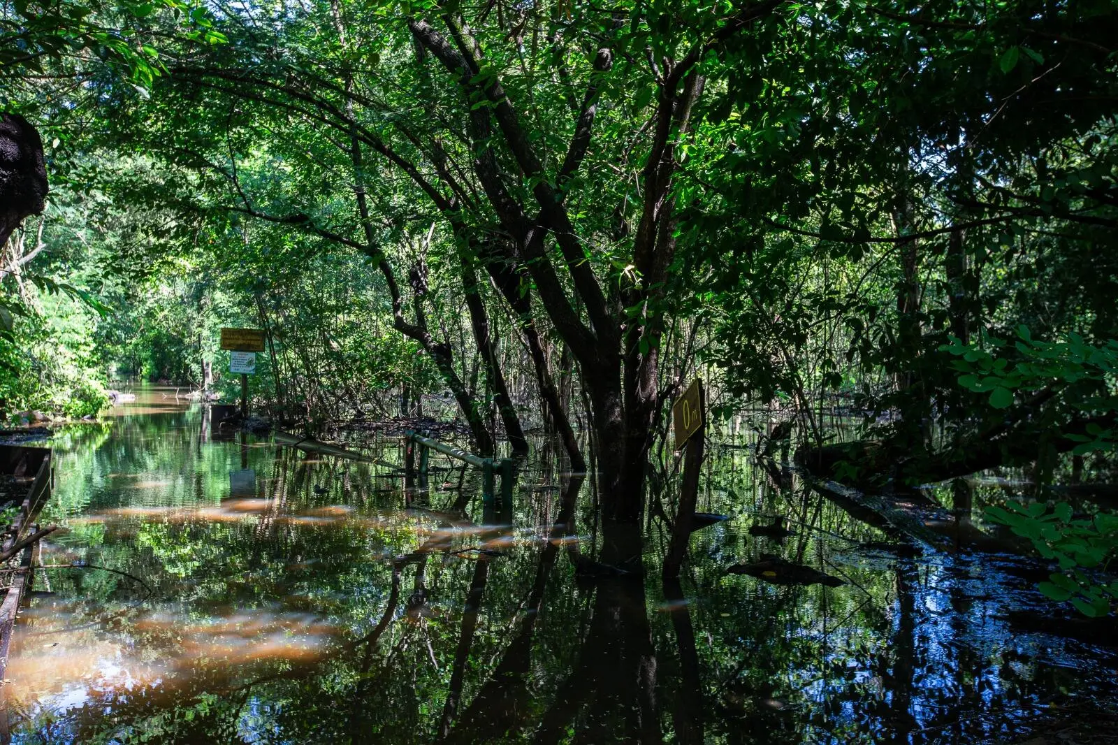 Trechos empoçados do Parque do Cocó formam espelhos d'água