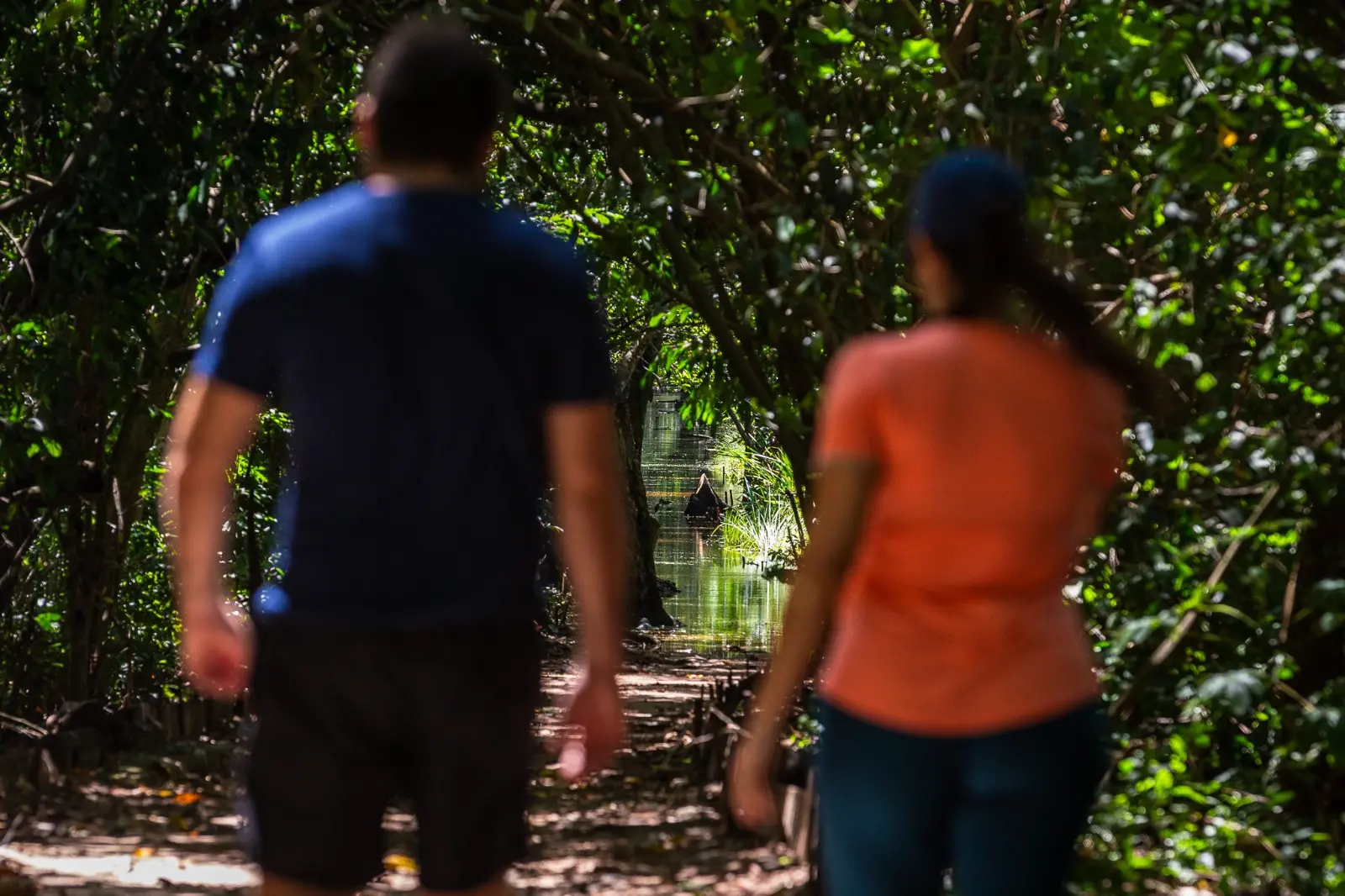 Trechos do Parque do Cocó ficam impossibilidade de circulação humana devido aos alagamentos