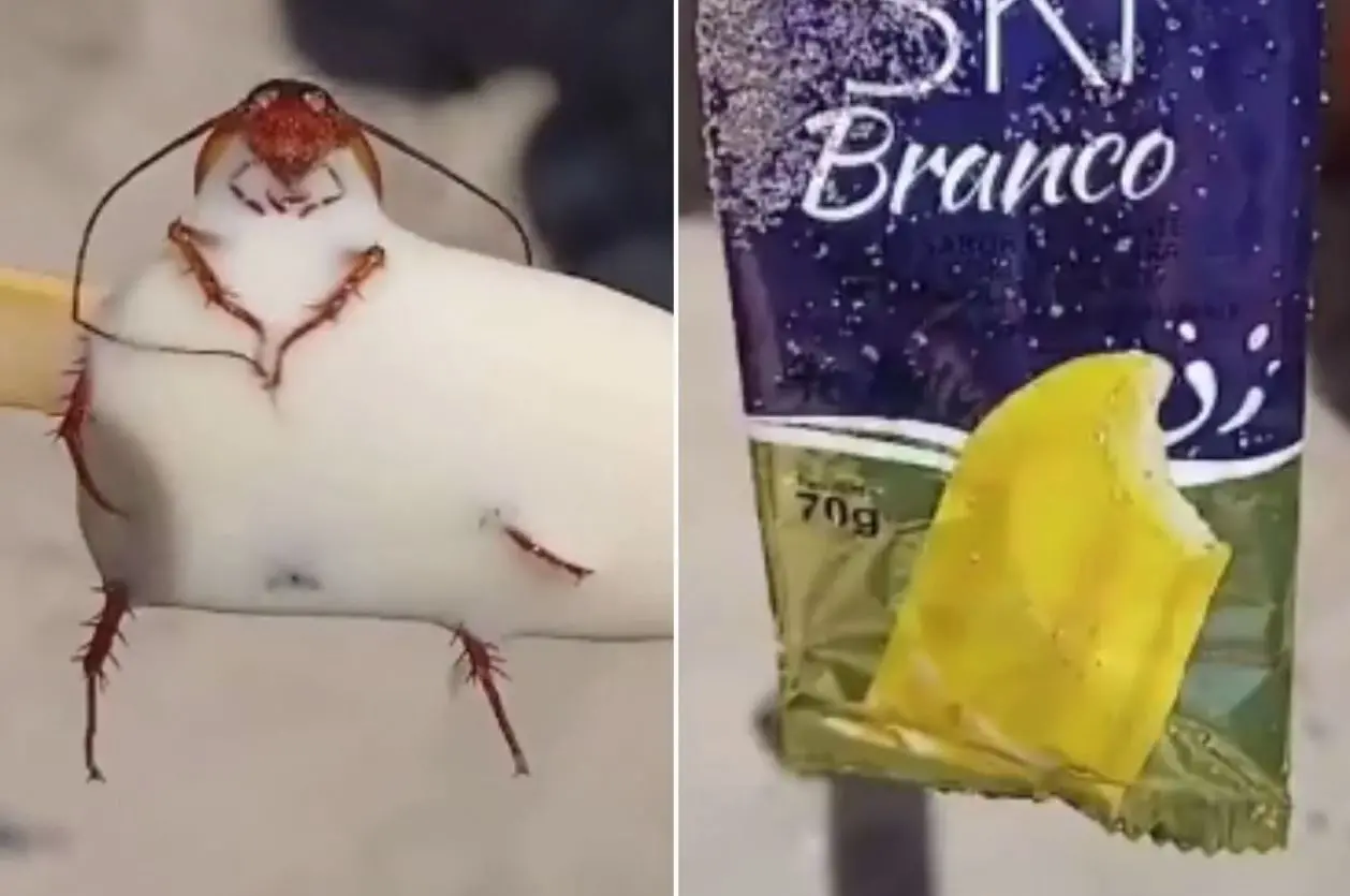 Barata em picolé