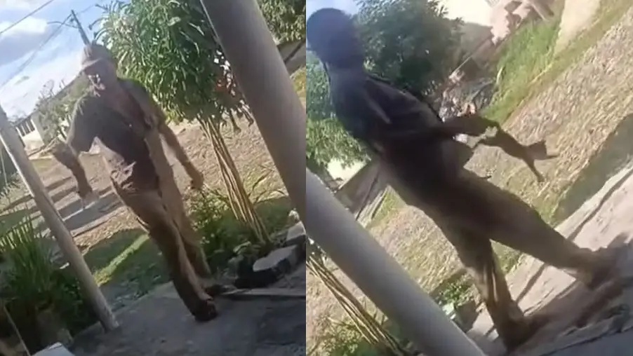 Montagem com duas imagens do vídeo em que o suspeito preso pela polícia em Solonópole, no Ceará, aparece carregando um filhote de gato pelo rabo, antes de atirá-lo no chão