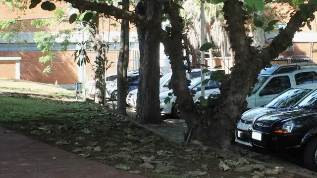 capa da noticia