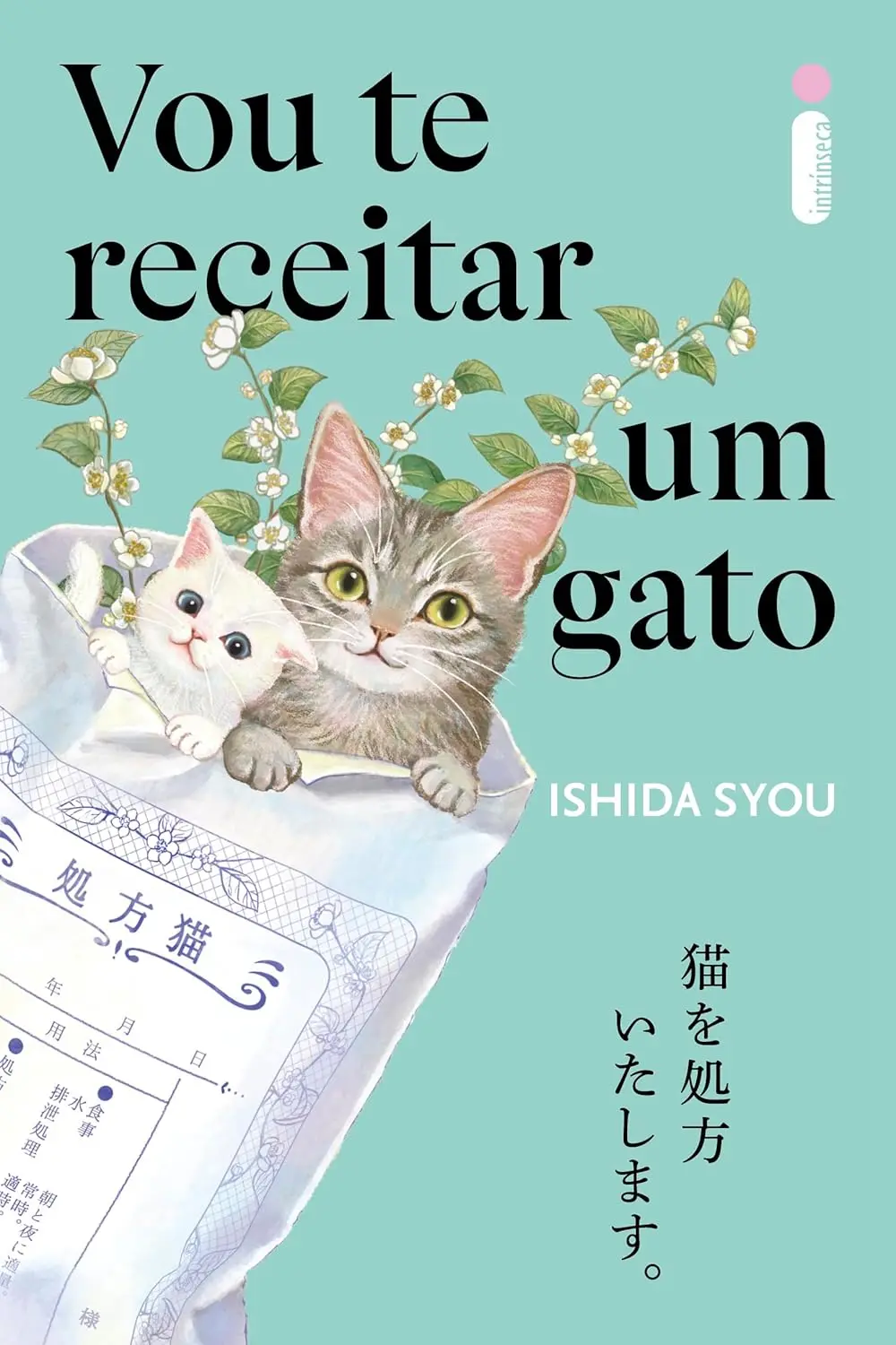 O livro Vou te receitar um gato