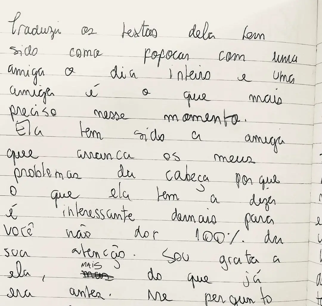 Imagem de anotações que Cecilia Madonna Young escreveu sobre o processo de tradução do livro de Eve Babitz