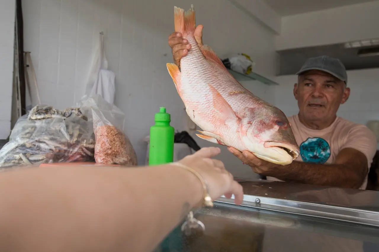homem mostra peixe no balcão