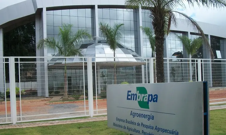 Concurso da Embrapa oferta mais de mil vagas