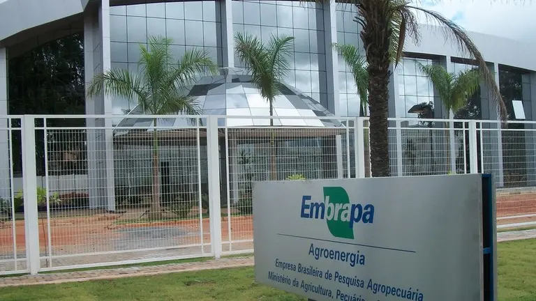 capa da noticia