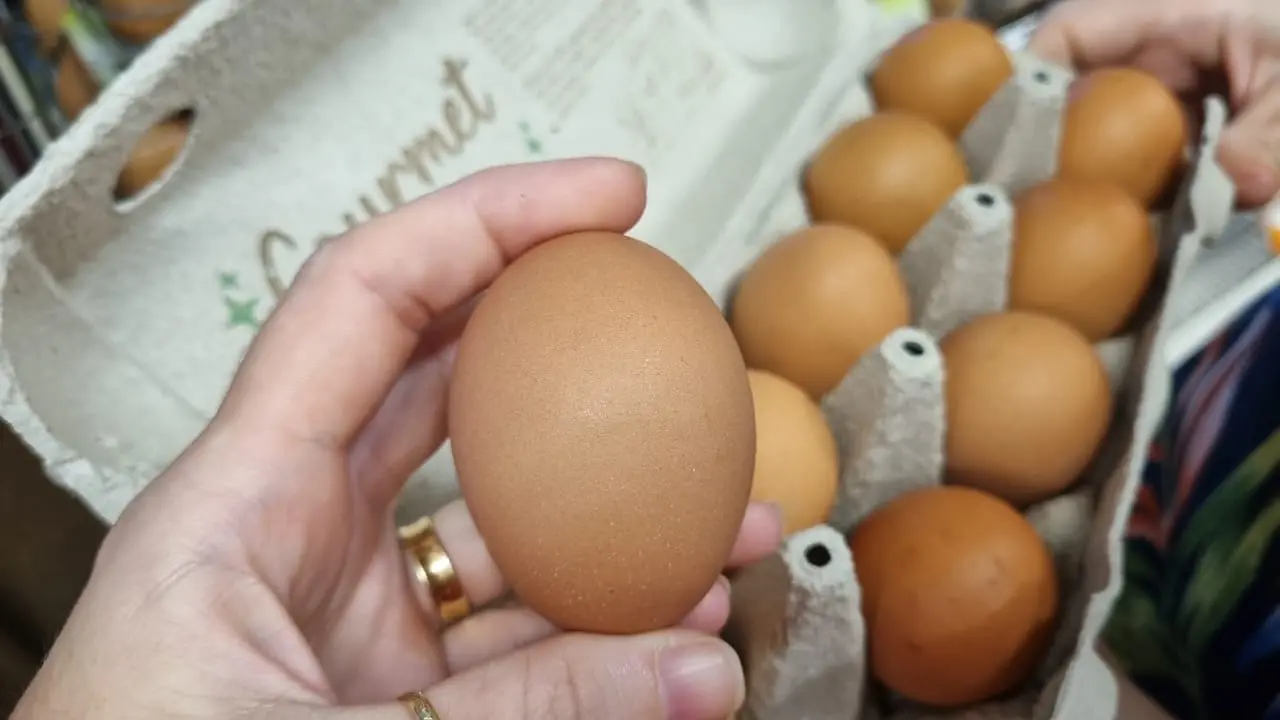 mão segurando um ovo