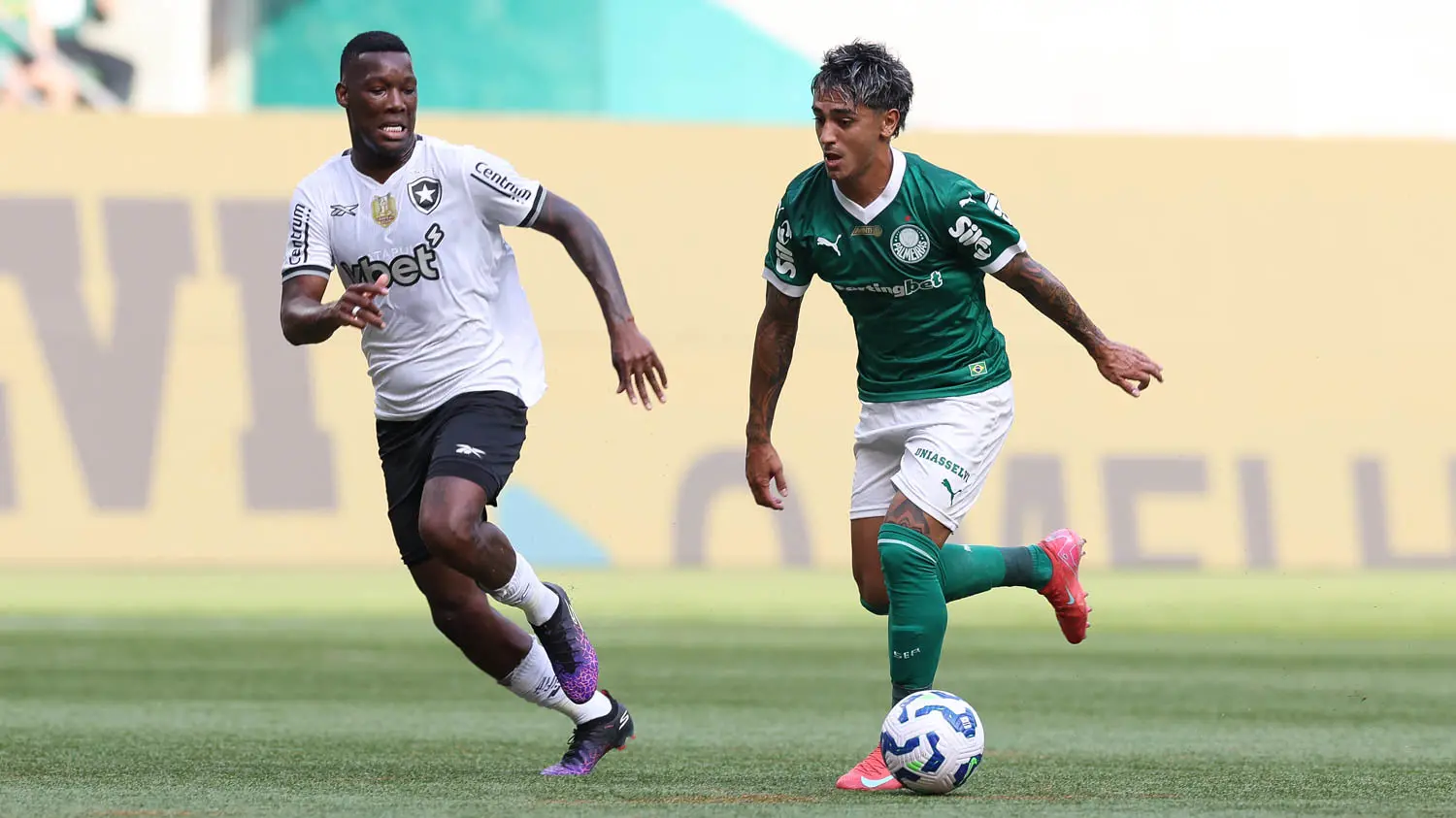 Palmeiras e Botafogo ficam no empate sem gols na estreia do Brasileirão ...
