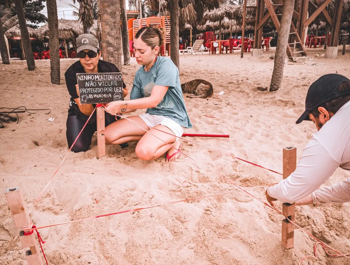 Ninho de tartaruga telado por pesquisadores da ONG Instituto Verdeluz