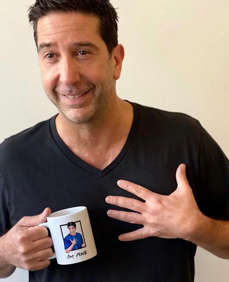 David Schwimmer, ator de Friends