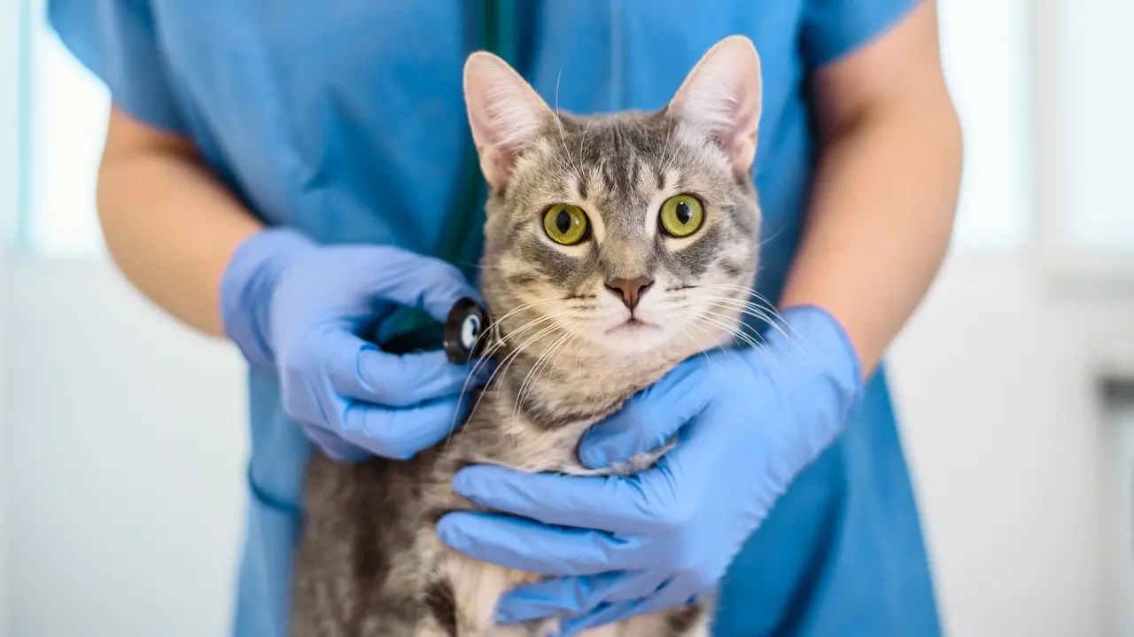 capa da noticia