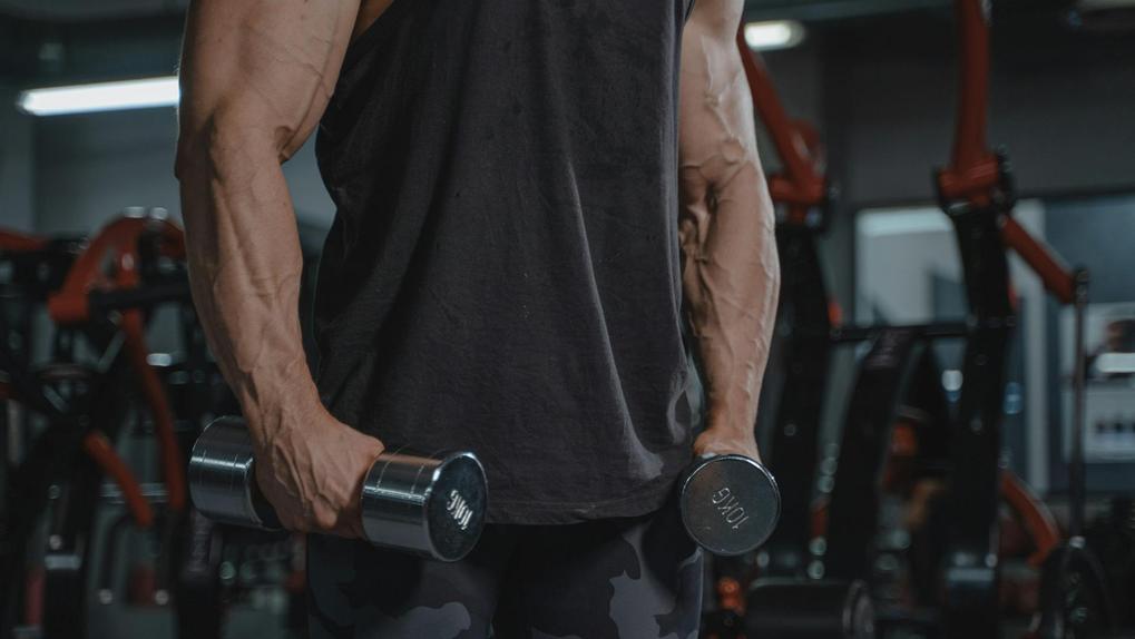 Detalhe de homem musculoso e veias aparentes malhando de regata preta dentro de academia