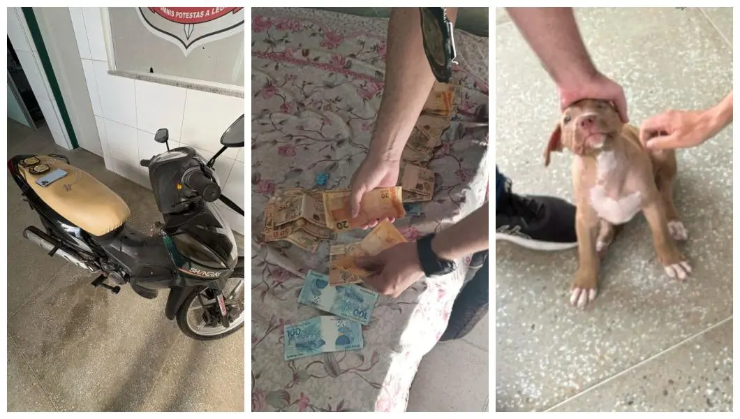 Moto, dinheiro e filhote apreendidos com babá em Quixadá