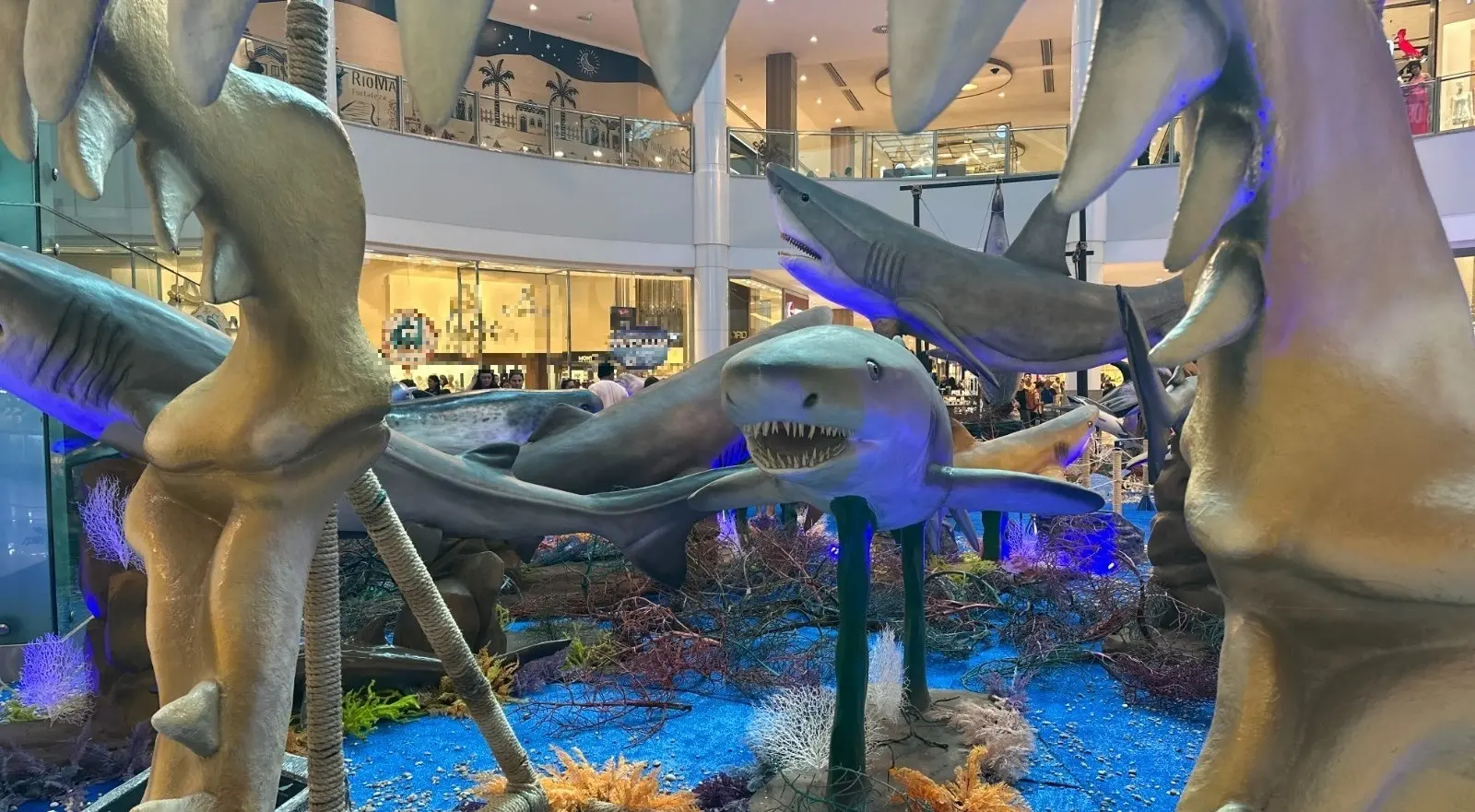 Tubarão em exposição dentro do shopping RioMar Fortaleza