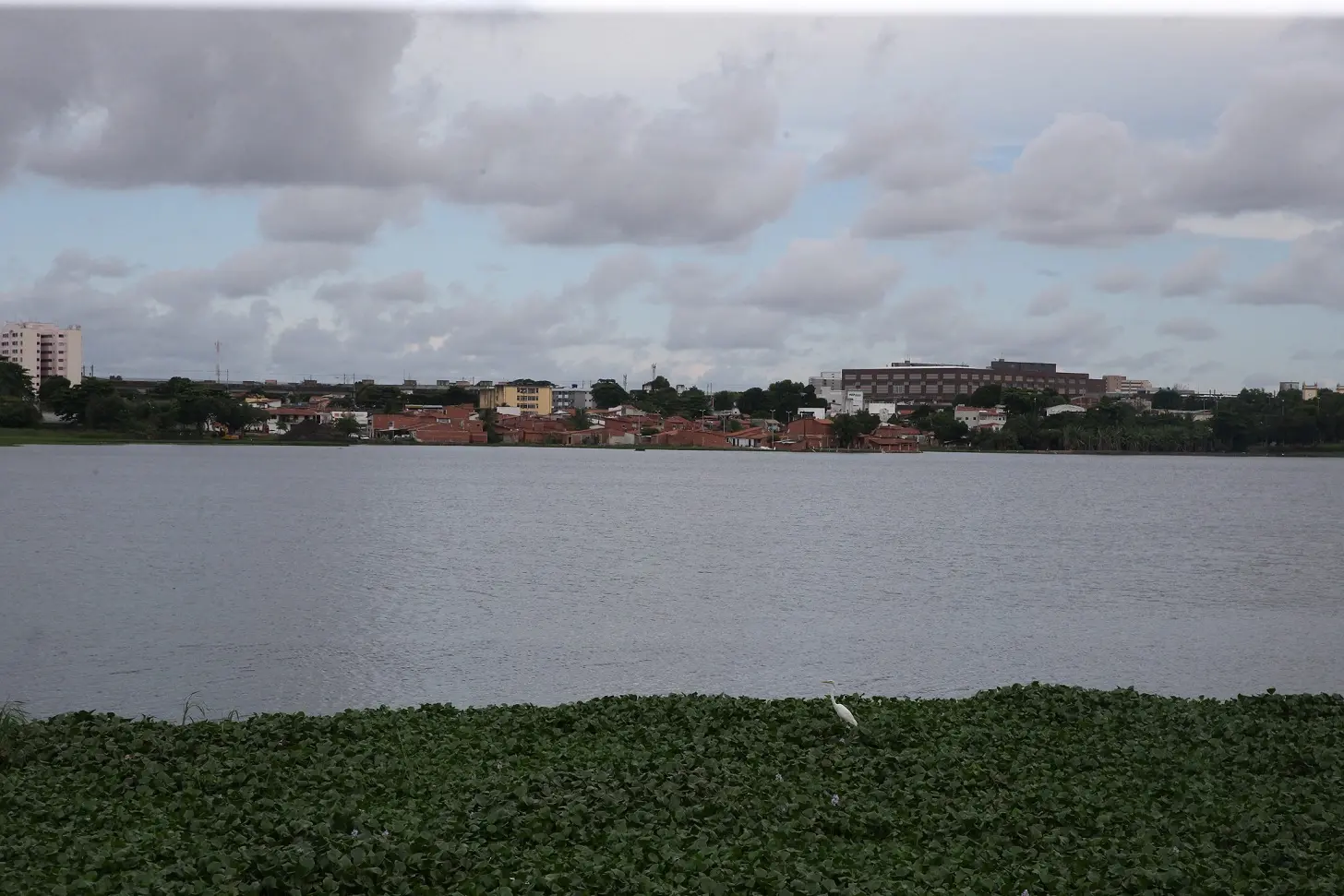 Foto da Lagoa da Parangaba com casas do bairro ao fundo