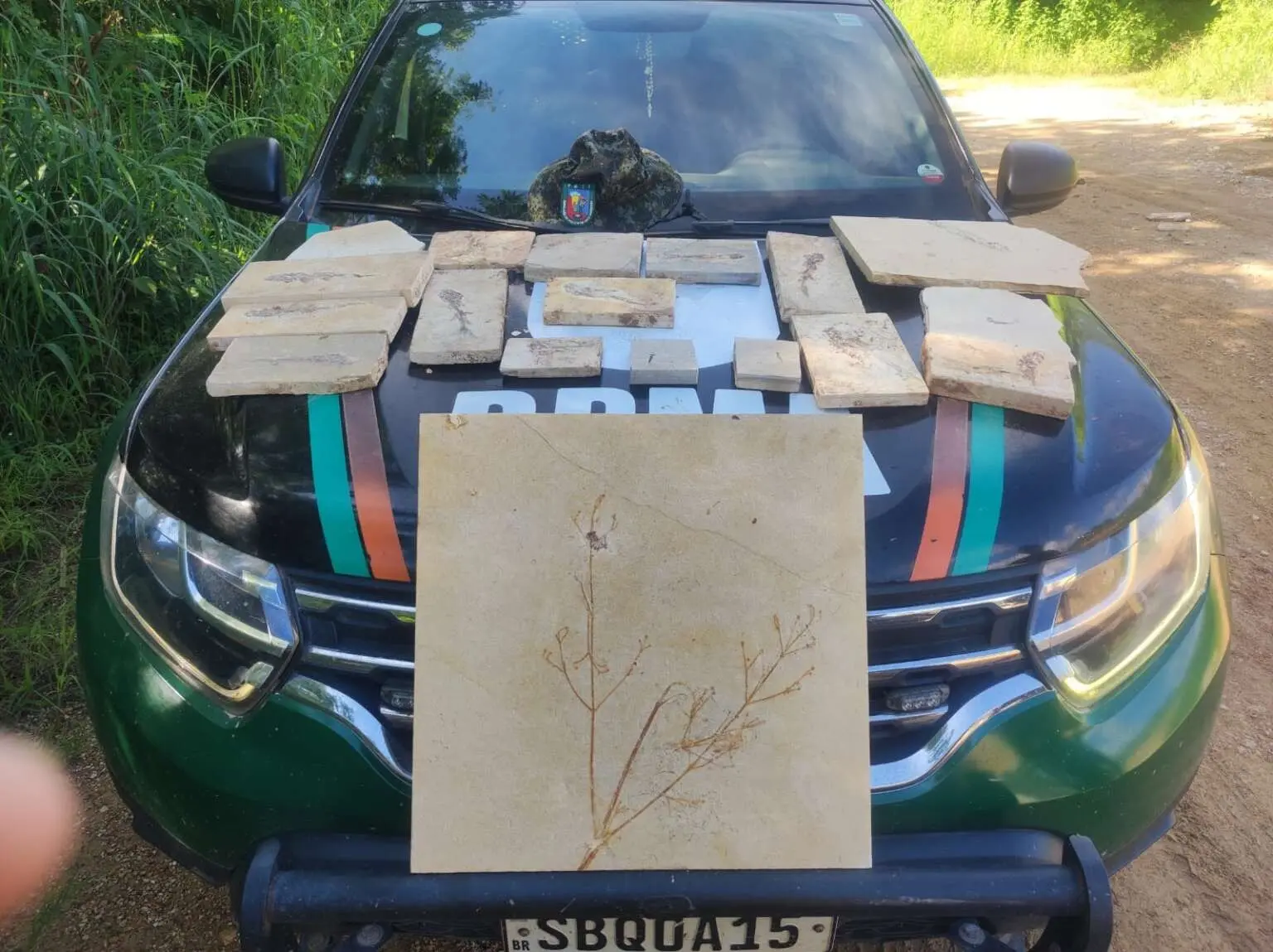 Fósseis dispostos sobre viatura da Polícia Militar, para matéria sobre fósseis encontrados em pedreiras no Cariri